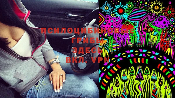 прущие крисы Белокуриха