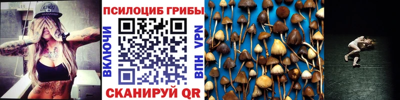 Псилоцибиновые грибы Psilocybine cubensis Миньяр